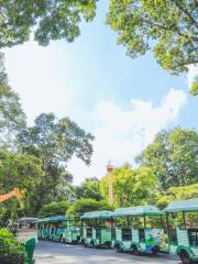 Saigon Zoo and Botanical Garden