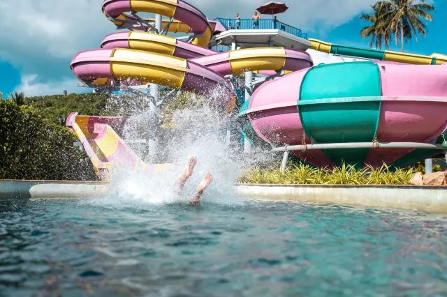 Top 8 US Water Parks to Visit for Summer 2024