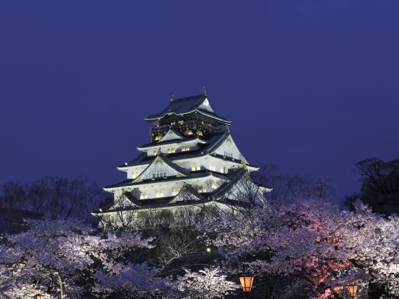 Parco del castello di Osaka