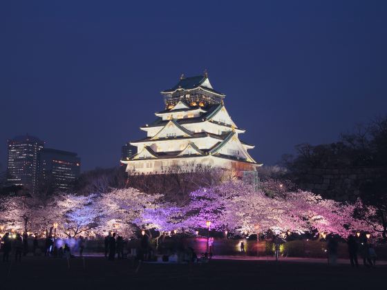 Parco del castello di Osaka