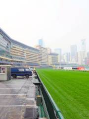 Sha Tin Racecourse