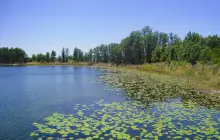 Lake Louisa State Park