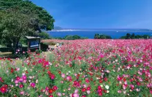 能古島海島公園