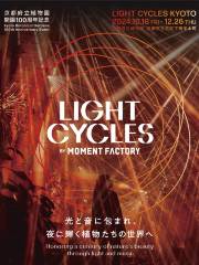 LIGHT CYCLES KYOTO