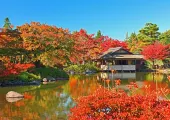 【東京紅葉2024】東京紅葉最佳觀賞時間 / 人氣賞楓景點推介！