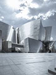 Walt Disney Concert Hall