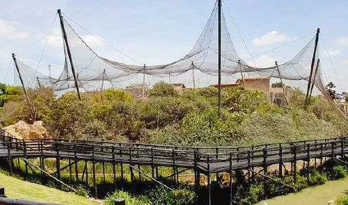 Montecasino Bird Gardens