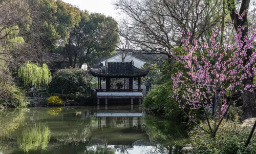 Suzhou Peach Blossom Viewing