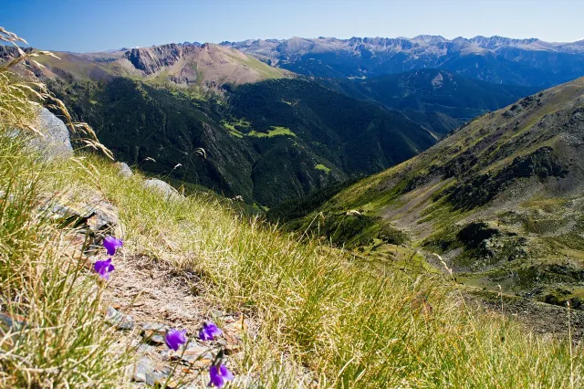 Motivos para viajar a Andorra en cualquier época del año