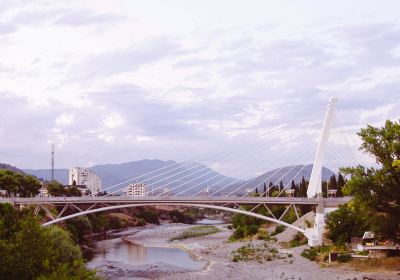 Ponte del Millennio