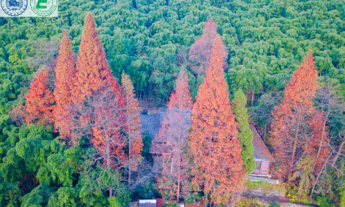 Moganshan National Park