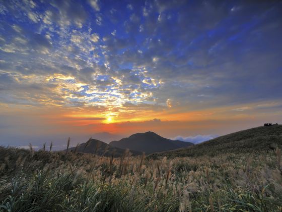 Yangmingshan National Park