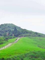 Qingtiangang Grassland