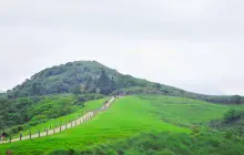 Qingtiangang Grassland