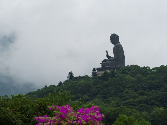 Grande Buddha