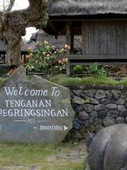 Tenganan Pegeringsingan Village