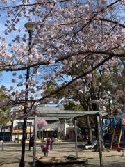 Kodairashi Tobu Park Swimming Pool