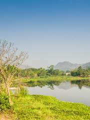 Tamsui River Mangrove Nature Reserve