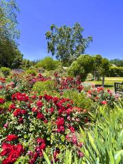 Los Angeles County Arboretum & Botanic Garden