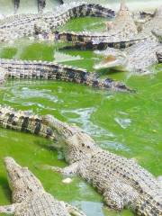 Davao Crocodile Park