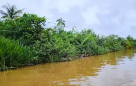 Bongawan Wetland