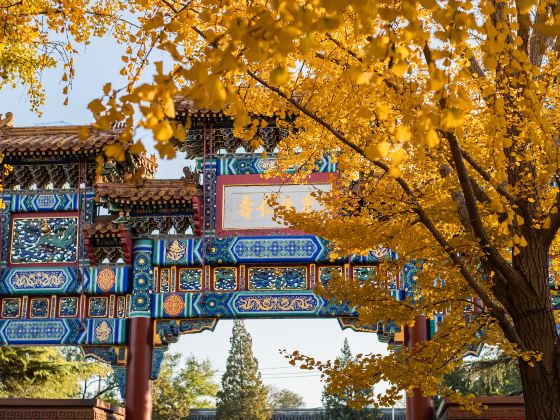 Yonghe Gong (Convento dei Lama)