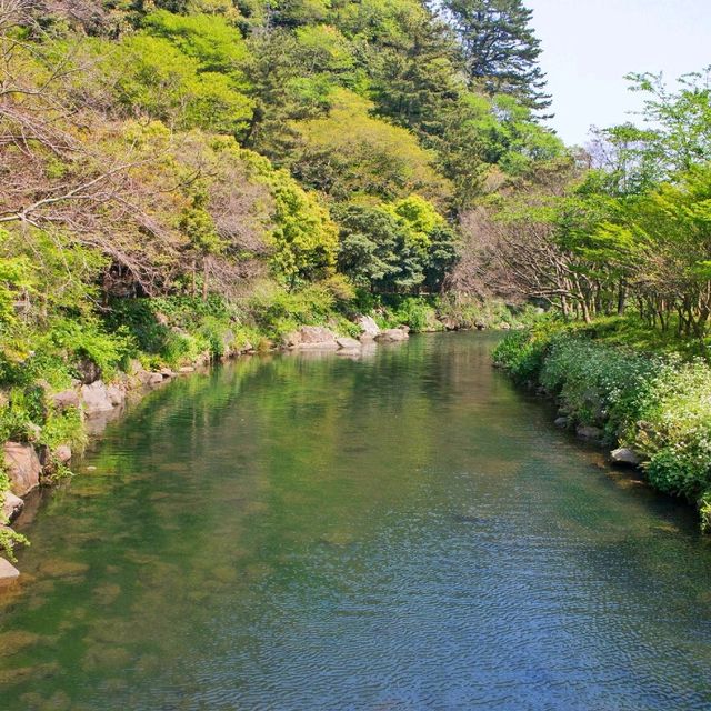 น้ำตกซอนจียอน (Cheonjeyeon Falls)