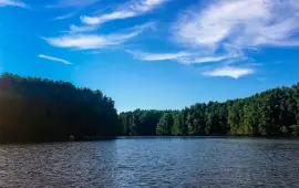 Mangrove of Menghe River