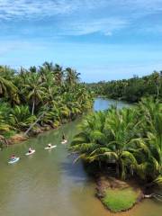 Four Seasons Outdoor Paddleboard Club