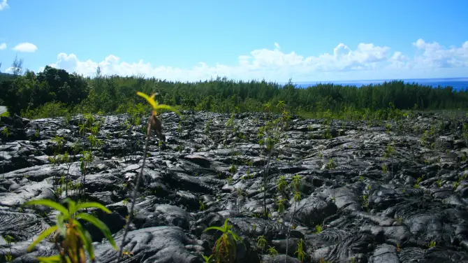 2_Hawaiʻi Volcanoes National Park