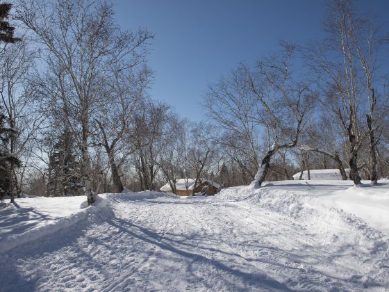 Parc du Mont-Royal