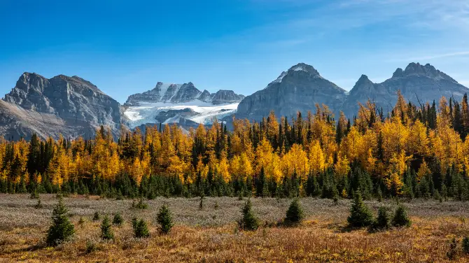 2_Banff National Park