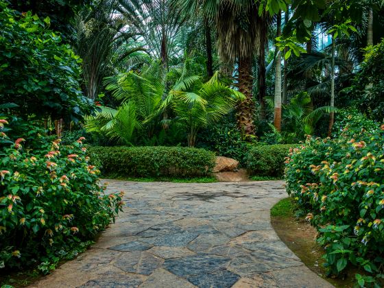 Giardini botanici di Singapore