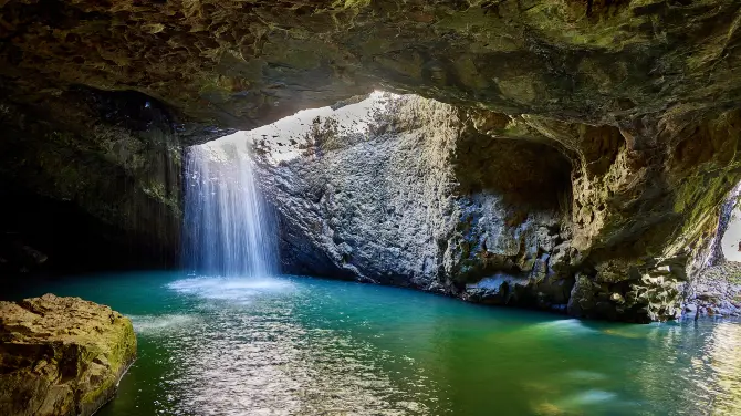 1_Springbrook National Park