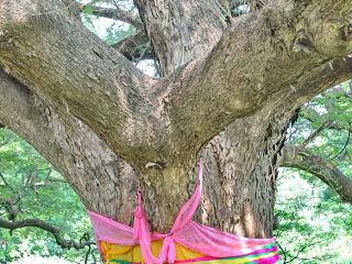 北碧一日遊