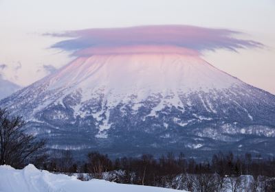 留寿都村