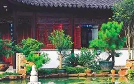 Zhan's Garden