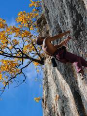 Rock Climbing in Krabi