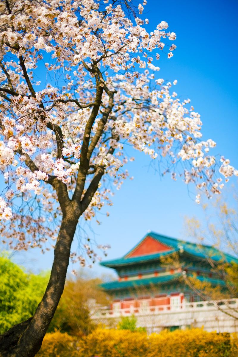 Gyeongbokgung Palace