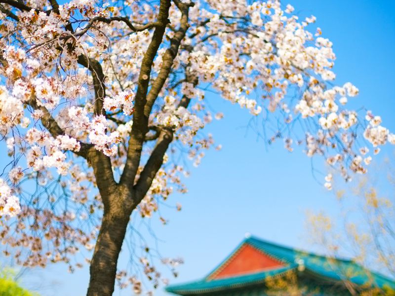 Gyeongbokgung Palace