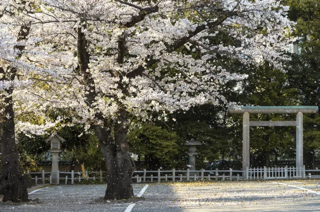 十和田市官廳街通