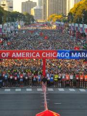 Chicago Marathon