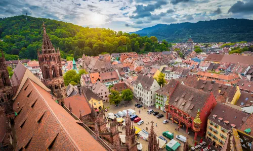 Freiburg Cathedral