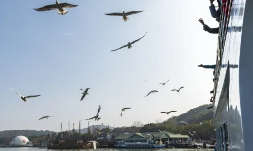 Tai Hu Yuantouzhu Scenic Spot