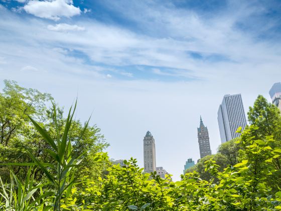 Mount Faber Park