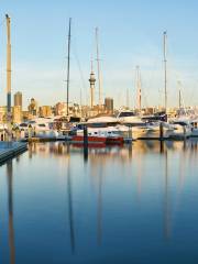 Auckland Sailing Club