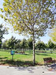 Maltepe Orhangazi City Park