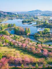 上海辰山植物園