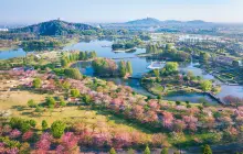 Chenshan Botanical Garden