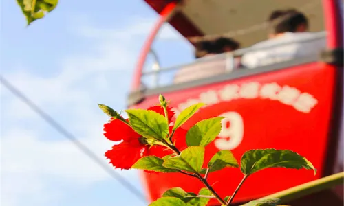 Zhonggu Cable Car